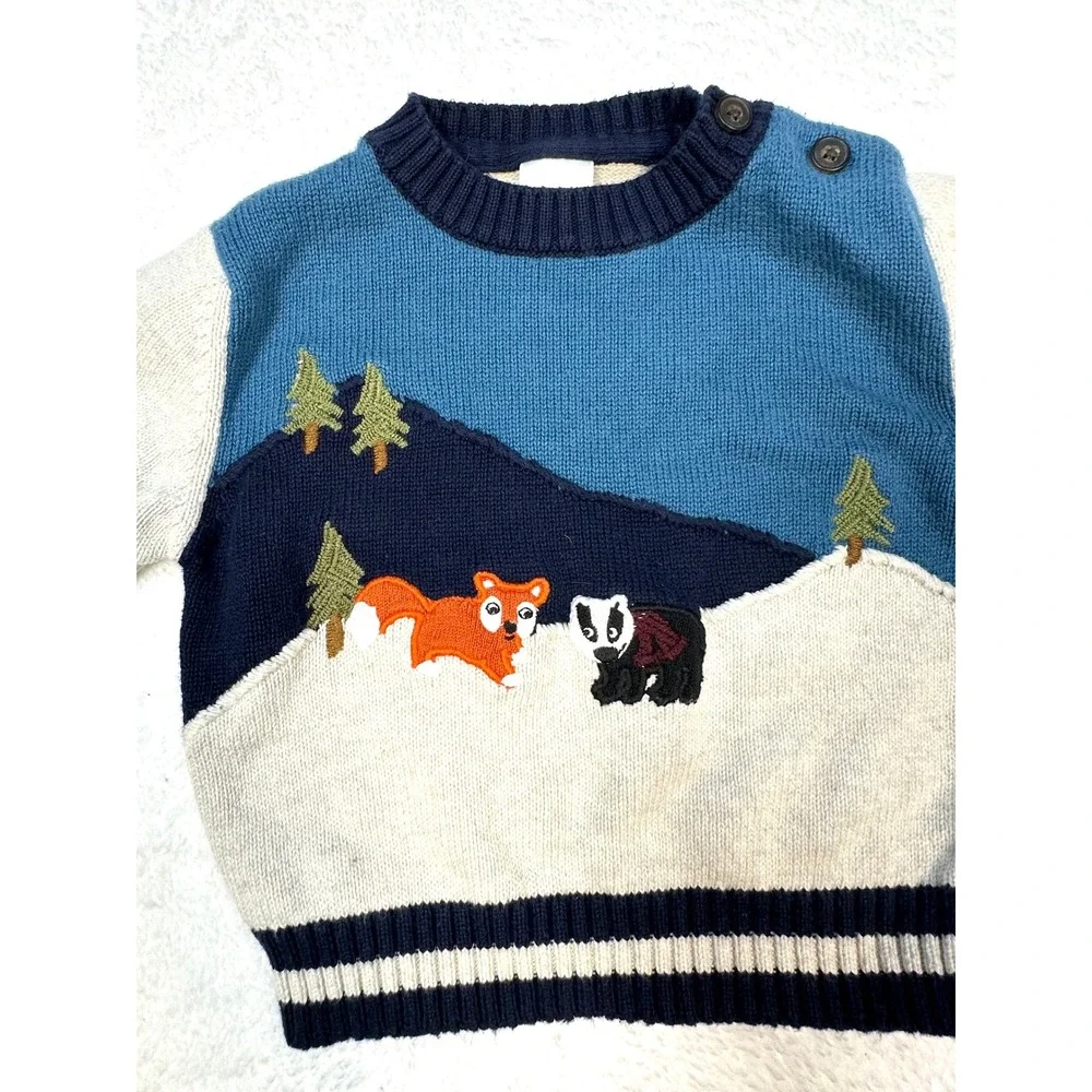 Gymboree 3-6 month boys knit crew neck sweater winter fox badger mountain‎